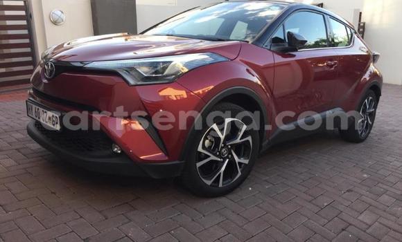 Buy Used Toyota C-HR Red Car in Matsapha in Manzini Buy Used Toyota C-HR Red Car in Matsapha in Manzini