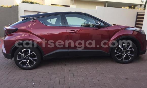 Buy Used Toyota C-HR Red Car in Matsapha in Manzini Buy Used Toyota C-HR Red Car in Matsapha in Manzini