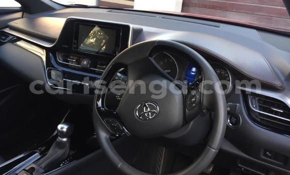 Buy Used Toyota C-HR Red Car in Matsapha in Manzini Buy Used Toyota C-HR Red Car in Matsapha in Manzini
