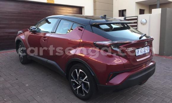 Buy Used Toyota C-HR Red Car in Matsapha in Manzini Buy Used Toyota C-HR Red Car in Matsapha in Manzini