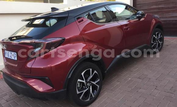 Buy Used Toyota C-HR Red Car in Matsapha in Manzini Buy Used Toyota C-HR Red Car in Matsapha in Manzini