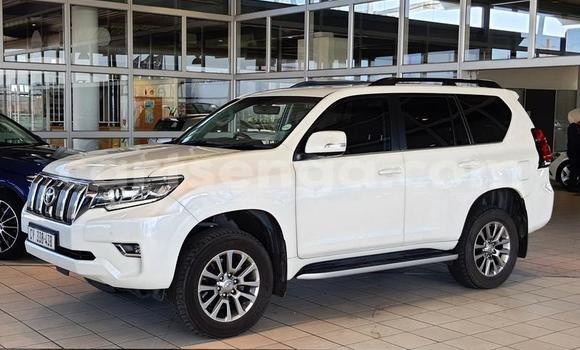 Buy Used Toyota Land Cruiser White Car in Big Bend in Lubombo Buy Used Toyota Land Cruiser White Car in Big Bend in Lubombo