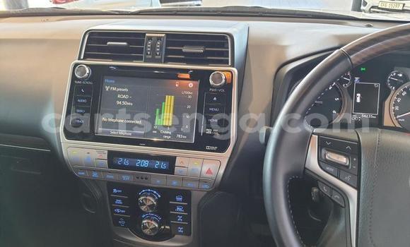 Buy Used Toyota Land Cruiser White Car in Big Bend in Lubombo Buy Used Toyota Land Cruiser White Car in Big Bend in Lubombo