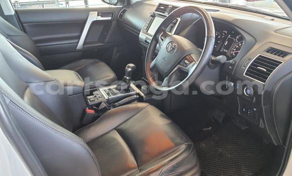 Buy Used Toyota Land Cruiser White Car in Big Bend in Lubombo Buy Used Toyota Land Cruiser White Car in Big Bend in Lubombo