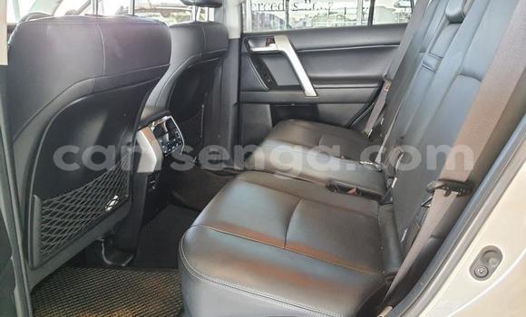 Buy Used Toyota Land Cruiser White Car in Big Bend in Lubombo Buy Used Toyota Land Cruiser White Car in Big Bend in Lubombo