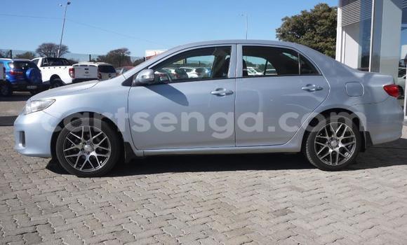 Buy Used Toyota Corolla Blue Car in Big Bend in Lubombo Buy Used Toyota Corolla Blue Car in Big Bend in Lubombo