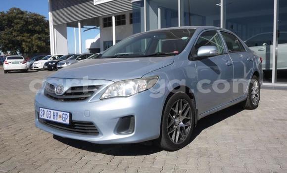 Buy Used Toyota Corolla Blue Car in Big Bend in Lubombo Buy Used Toyota Corolla Blue Car in Big Bend in Lubombo