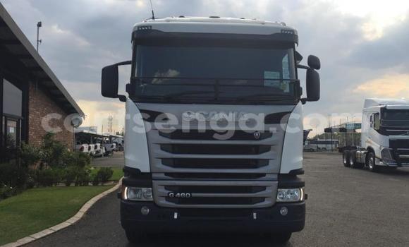 Nunua Ilio tumika Scania R420 White Lori ndani ya Big Bend nchini Lubombo Nunua Ilio tumika Scania R420 White Lori ndani ya Big Bend nchini Lubombo