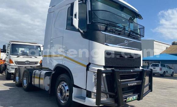 Medium with watermark volvo f4 lubombo big bend 19585