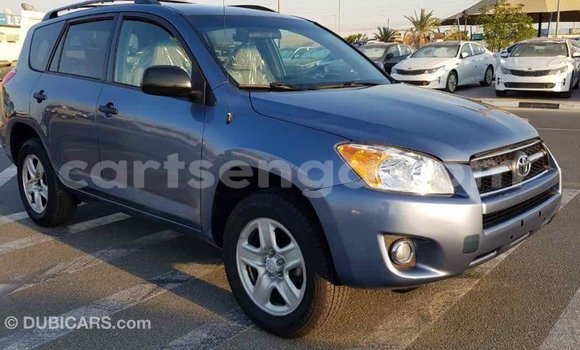 Buy Import Toyota RAV4 Blue Car in Import - Dubai in Hhohho Buy Import Toyota RAV4 Blue Car in Import - Dubai in Hhohho