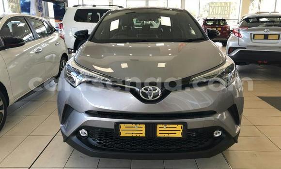 Buy Used Toyota C-HR Silver Car in Ezulwini in Hhohho