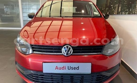 Buy Used Volkswagen Polo Red Car in Import - Dubai in Hhohho