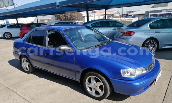Buy Used Toyota Corolla Blue Car in Ezulwini in Hhohho Buy Used Toyota Corolla Blue Car in Ezulwini in Hhohho
