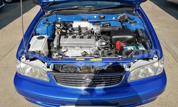 Buy Used Toyota Corolla Blue Car in Ezulwini in Hhohho Buy Used Toyota Corolla Blue Car in Ezulwini in Hhohho