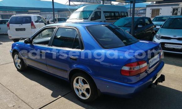 Buy Used Toyota Corolla Blue Car in Ezulwini in Hhohho Buy Used Toyota Corolla Blue Car in Ezulwini in Hhohho