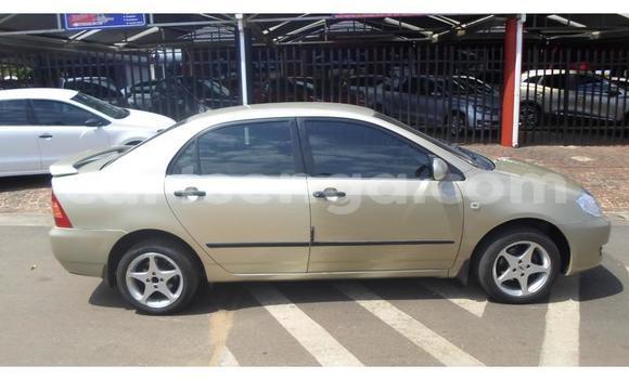 Nunua Ilio tumika Toyota Corolla Brown Gari ndani ya Ezulwini nchini Hhohho