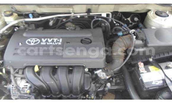 Acheter Occasion Voiture Toyota Corolla Marron à Ezulwini, Hhohho Acheter Occasion Voiture Toyota Corolla Marron à Ezulwini, Hhohho