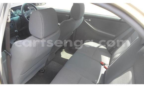 Acheter Occasion Voiture Toyota Corolla Marron à Ezulwini, Hhohho Acheter Occasion Voiture Toyota Corolla Marron à Ezulwini, Hhohho