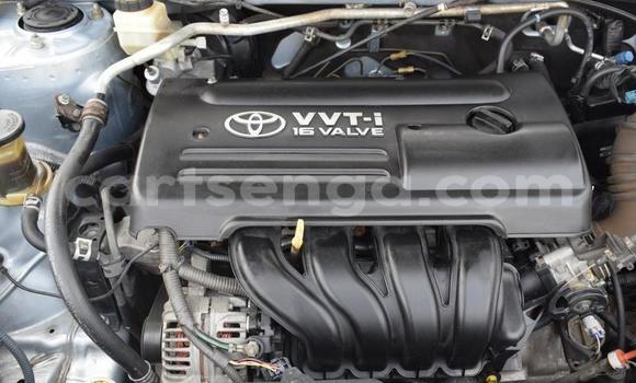 Acheter Occasion Voiture Toyota Corolla Bleu à Hlatikulu, Shiselweni District Acheter Occasion Voiture Toyota Corolla Bleu à Hlatikulu, Shiselweni District