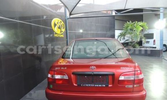 Buy Used Toyota Corolla Red Car in Ezulwini in Hhohho Buy Used Toyota Corolla Red Car in Ezulwini in Hhohho