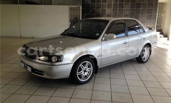 Nunua Ilio tumika Toyota Corolla Silver Gari ndani ya Big Bend nchini Lubombo Nunua Ilio tumika Toyota Corolla Silver Gari ndani ya Big Bend nchini Lubombo