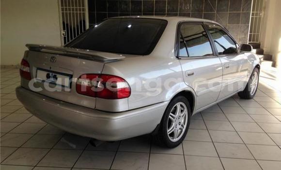 Buy Used Toyota Corolla Silver Car in Big Bend in Lubombo Buy Used Toyota Corolla Silver Car in Big Bend in Lubombo