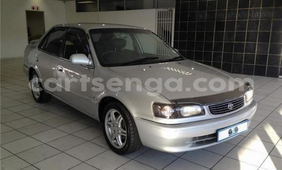 Buy Used Toyota Corolla Silver Car in Big Bend in Lubombo Buy Used Toyota Corolla Silver Car in Big Bend in Lubombo