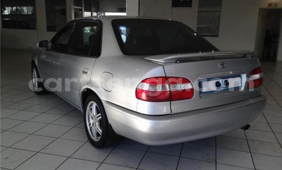 Buy Used Toyota Corolla Silver Car in Big Bend in Lubombo Buy Used Toyota Corolla Silver Car in Big Bend in Lubombo