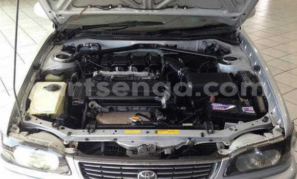 Buy Used Toyota Corolla Silver Car in Big Bend in Lubombo Buy Used Toyota Corolla Silver Car in Big Bend in Lubombo