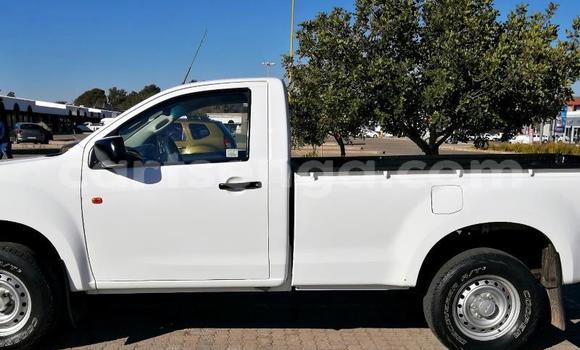 Buy Used Isuzu KB White Car in Big Bend in Lubombo Buy Used Isuzu KB White Car in Big Bend in Lubombo