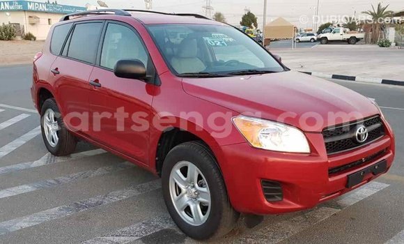 Buy Import Toyota RAV4 Red Car in Import - Dubai in Hhohho Buy Import Toyota RAV4 Red Car in Import - Dubai in Hhohho