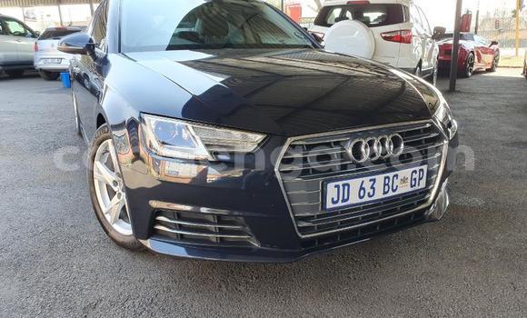 Buy Used Audi A4 Blue Car in Big Bend in Lubombo Buy Used Audi A4 Blue Car in Big Bend in Lubombo