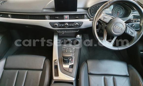 Buy Used Audi A4 Blue Car in Big Bend in Lubombo Buy Used Audi A4 Blue Car in Big Bend in Lubombo