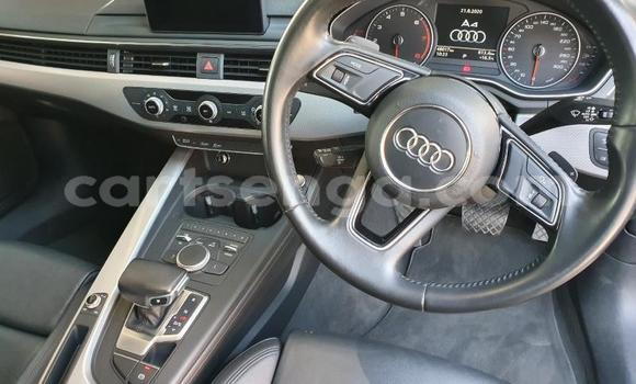 Buy Used Audi A4 Blue Car in Big Bend in Lubombo Buy Used Audi A4 Blue Car in Big Bend in Lubombo