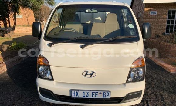 Nunua Ilio tumika Hyundai Chorus White Lori ndani ya Big Bend nchini Lubombo Nunua Ilio tumika Hyundai Chorus White Lori ndani ya Big Bend nchini Lubombo