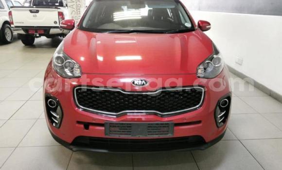 Buy Used Kia Sportage Red Car in Manzini in Manzini Buy Used Kia Sportage Red Car in Manzini in Manzini