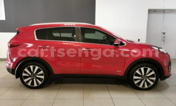 Buy Used Kia Sportage Red Car in Manzini in Manzini Buy Used Kia Sportage Red Car in Manzini in Manzini