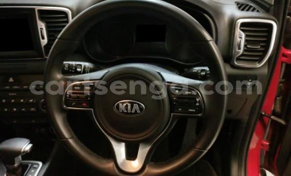Buy Used Kia Sportage Red Car in Manzini in Manzini Buy Used Kia Sportage Red Car in Manzini in Manzini