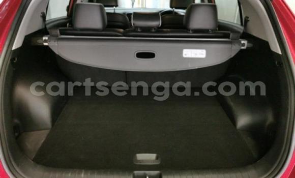 Buy Used Kia Sportage Red Car in Manzini in Manzini Buy Used Kia Sportage Red Car in Manzini in Manzini