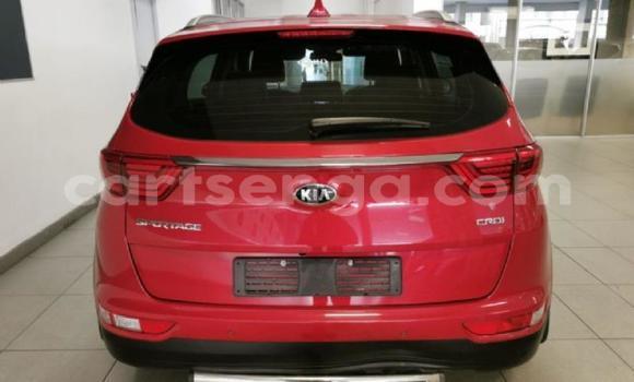 Buy Used Kia Sportage Red Car in Manzini in Manzini Buy Used Kia Sportage Red Car in Manzini in Manzini
