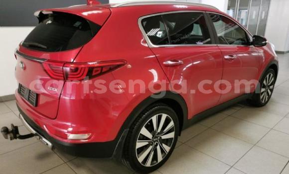 Buy Used Kia Sportage Red Car in Manzini in Manzini Buy Used Kia Sportage Red Car in Manzini in Manzini