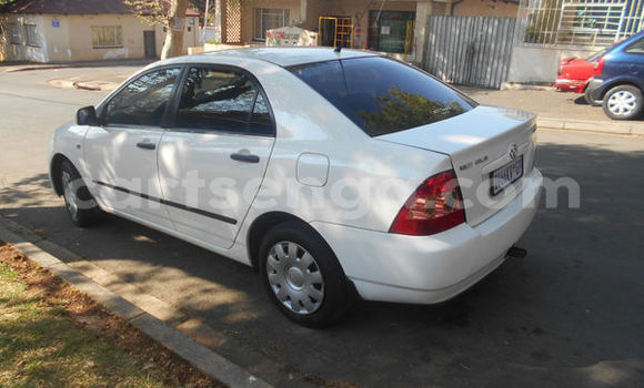 Nunua Ilio tumika Tofas Serce White Gari ndani ya Bulembu nchini Hhohho Nunua Ilio tumika Tofas Serce White Gari ndani ya Bulembu nchini Hhohho