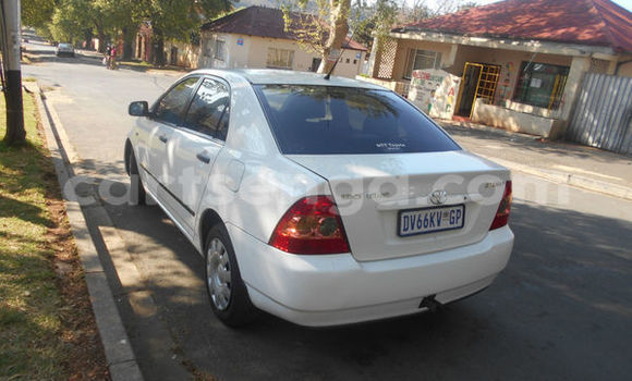 Nunua Ilio tumika Tofas Serce White Gari ndani ya Bulembu nchini Hhohho Nunua Ilio tumika Tofas Serce White Gari ndani ya Bulembu nchini Hhohho