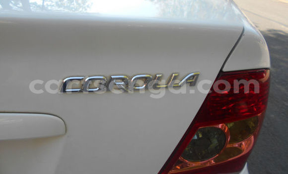 Nunua Ilio tumika Tofas Serce White Gari ndani ya Bulembu nchini Hhohho Nunua Ilio tumika Tofas Serce White Gari ndani ya Bulembu nchini Hhohho