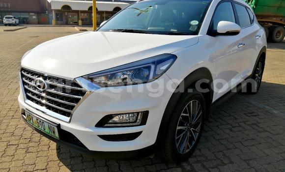 Nunua Ilio tumika Hyundai Tucson Silver Gari ndani ya Big Bend nchini Lubombo Nunua Ilio tumika Hyundai Tucson Silver Gari ndani ya Big Bend nchini Lubombo