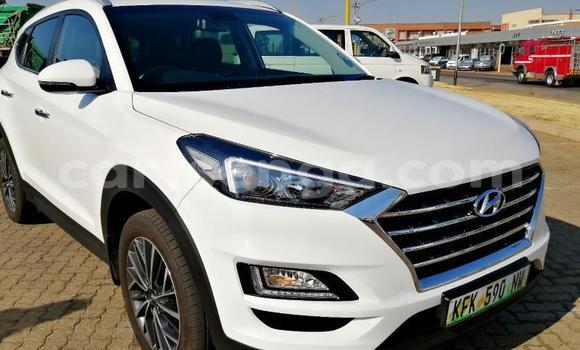 Nunua Ilio tumika Hyundai Tucson Silver Gari ndani ya Big Bend nchini Lubombo Nunua Ilio tumika Hyundai Tucson Silver Gari ndani ya Big Bend nchini Lubombo