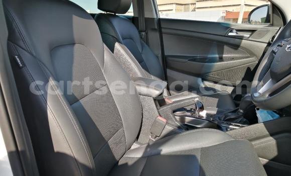 Nunua Ilio tumika Hyundai Tucson Silver Gari ndani ya Big Bend nchini Lubombo Nunua Ilio tumika Hyundai Tucson Silver Gari ndani ya Big Bend nchini Lubombo