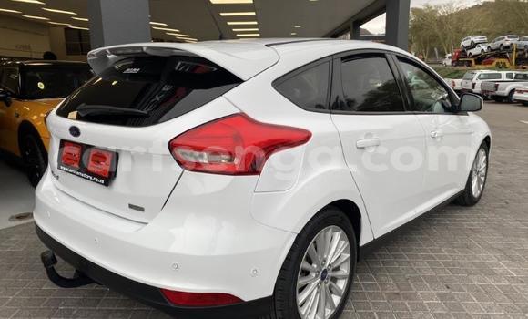 Buy Used Ford Focus White Car in Big Bend in Lubombo Buy Used Ford Focus White Car in Big Bend in Lubombo