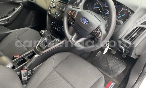 Buy Used Ford Focus White Car in Big Bend in Lubombo Buy Used Ford Focus White Car in Big Bend in Lubombo