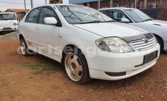 Nunua Ilio tumika Toyota Corolla White Gari ndani ya Bulembu nchini Hhohho Nunua Ilio tumika Toyota Corolla White Gari ndani ya Bulembu nchini Hhohho